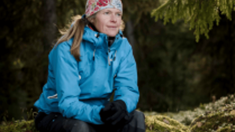 Fjällprofil - Storslagen fjällmiljö