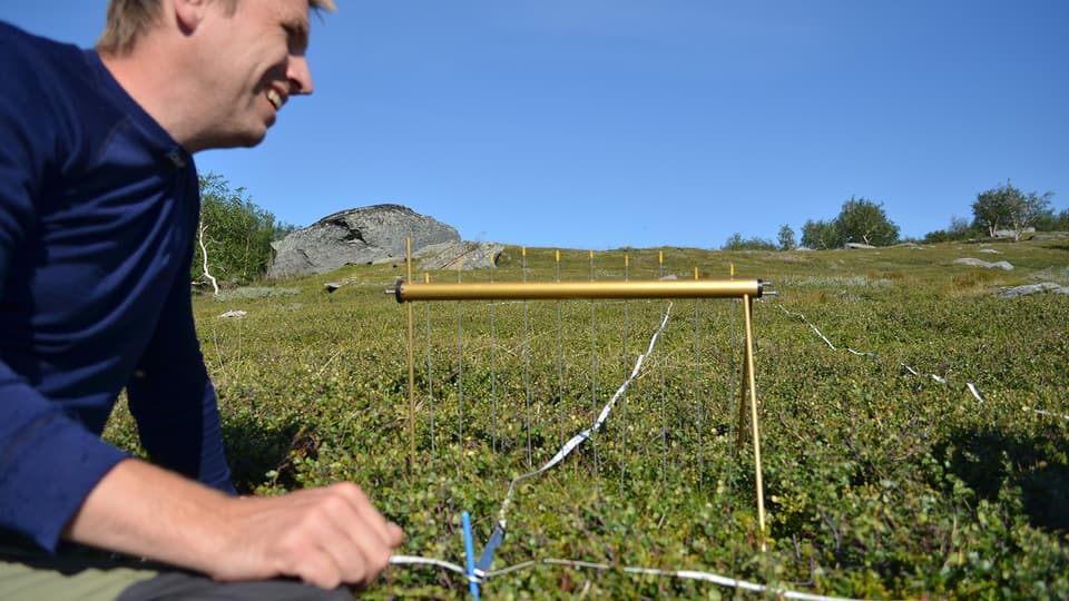 ettbetespraglatfjallandskap.jpg
