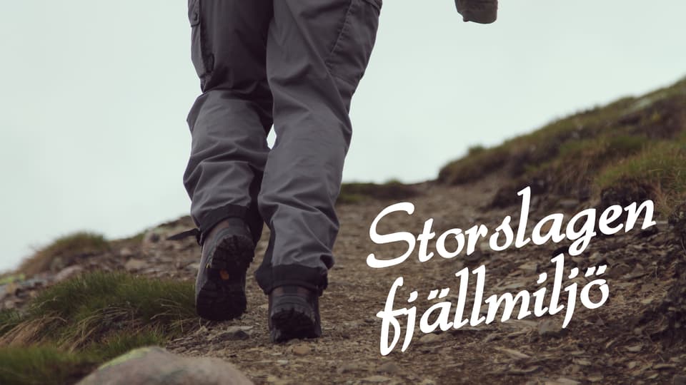 Storslagen fjällmiljö_16.9.jpg