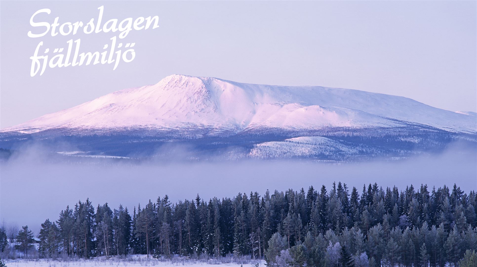 Storslagen Fjällmiljö profilbild